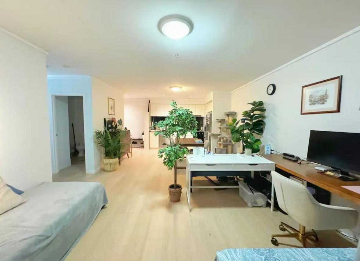 Apartment - Entire Unit With Rooftop Pool